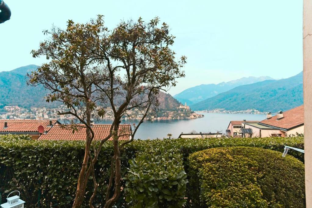 Miralago Lugano Sporting Club Apartment Cuasso Al Monte Exterior photo